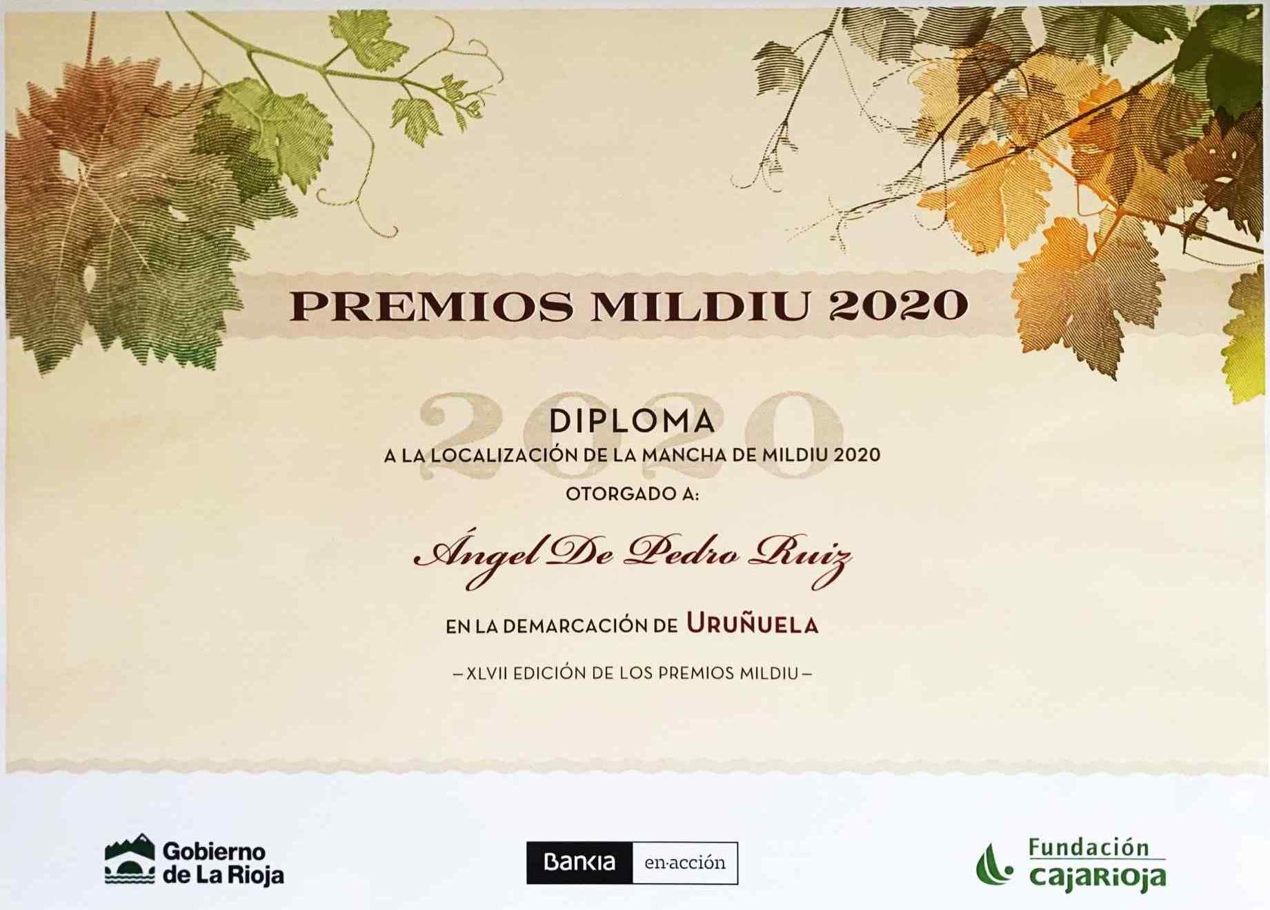 Premio MILDIU 2020 para Ángel de Pedro Ruiz